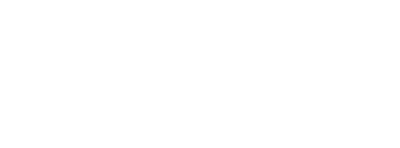 Blipp Logo Org2